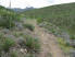 A rocky section of singletrack