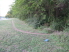 A narrow section of singletrack skirting the treeline