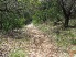 Descending into a rocky creek drossing along Wildcat Canyon