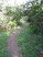 Winding singletrack along Lytle's Loop in the Front Country