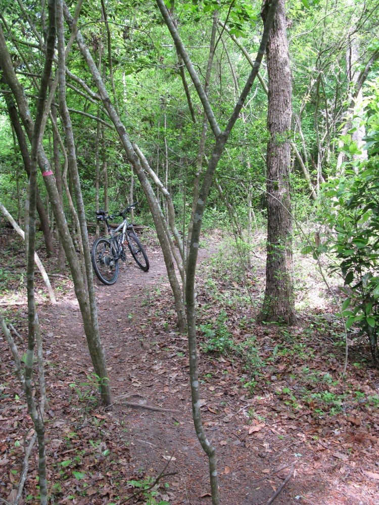 George Mitchell Nature Preserve, The Woodlands