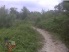 Coming around a wide, singletrack turn (photo courtesy of larlev)