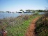 A stretch of singletrack along the lake (photo courtesy of Love2Pedal)