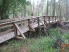 One of the larger bridges in the park (photo courtesy of Mike Strawns)