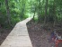 There are two long boardwalks to ride over. This one plus another one in Alligator Alley (photo courtesy of Mike Strawns)