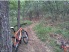 Looking down the winding singletrack (photo courtesy of Terry Cameron)