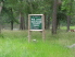 Welcome to W.G. Jones State Forest