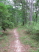 Some sweet singletrack north of Gravel Pit Trail