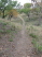 Looking back at one of the larger water crossings (pre-ride)