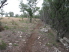 The final stretch of singletrack along the treeline (pre-ride)