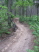 A very well packed section of wide singletrack (Kelly's Pond)