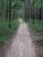 In many sections the sand is thick and difficult to both steer and pedal through (Kelly's Pond)