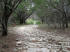 Wide, rocky trail meets smooth singletrack