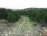 Looking down the trail at the start of the lengthiest stretch of "descent"