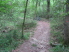 A little whoop-dee-doo along Peach Creek Loop Trail