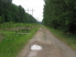 At TM 1 you can go straight to reach Isabel Lake or turn left on to Logging Loop Trail