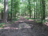 Perhaps the messiest section of Livingston Trail thanks to vehicle use