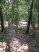 Singletrack leading out towards Lake Livingston