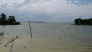 A view overlooking Lake Livingston (note the down trees)