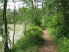 Singletrack along the inlet on teh east side of the bridge out