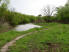 A tranquil stretch of singletrack along Cedar Creek
