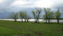 Looking out at Lake Somerville from the trail near Bent Tree Camping Area