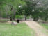 The wooden bridge crossing Yegua Creek