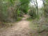 Another very gradual ascent along the Trailway