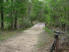 The wooden bridge crossing Nails Creek