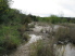 Riding in Leon Creek (the trail always picks up on the left)