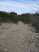 A nice worn path through the creek bed