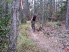 Flying down the singletrack (photo courtesy of Floyd Getz)