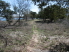 A sweeping section of singletrack with a view