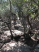 One of many rock gardens at Madrone