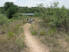 A peek at Historic Dunbar Lake