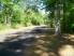 Park road connects Slough Trail and Forest Trail on the left (photo courtesy of EastTexasBill)