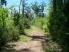 Watch out for bird watchers around that corner! (photo courtesy of EastTexasBill)