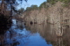 Looking out across Gum Slough (photo courtesy of Mark Segura)