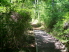 A fun little bridge (photo courtesy of EastTexasBill)