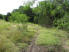 Singletrack along the treeline