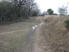 Even after the trail is dry to ride, there can still be puddles