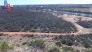 Looking down from the top you can see the beginning of the trail running parallel to the bottom of the photo. The trailhead is right where the dirt road makes a 90 degree turn (on outside) (photo courtesy of A. McGowen)