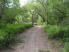 A fast, wide stretch of singletrack (photo courtesy of Lupe Ruiz Jr)