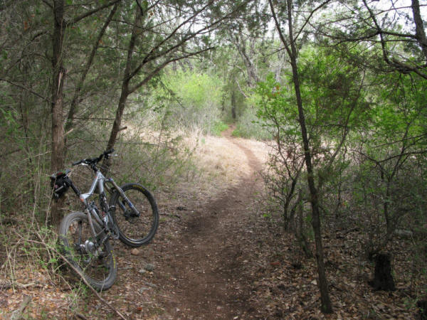 Mud Creek, San Antonio