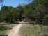 A slight elevation gain back into the trees (photo courtesy of EastTexasBill)