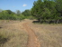 Muleshoe Bend starts out in a good way