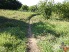 A narrow stretch of singletrack