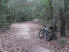 A moderaterly winding stretch of trail through the trees