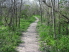 The singletrack starts out covered in pea stone