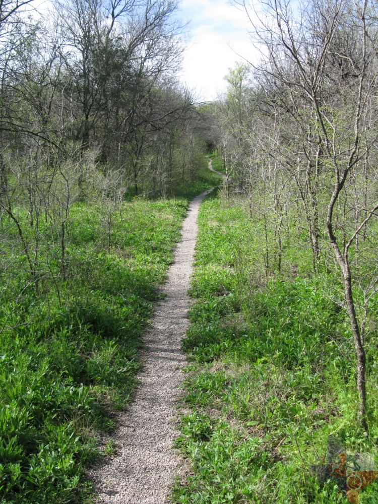 Olmos Park, San Antonio